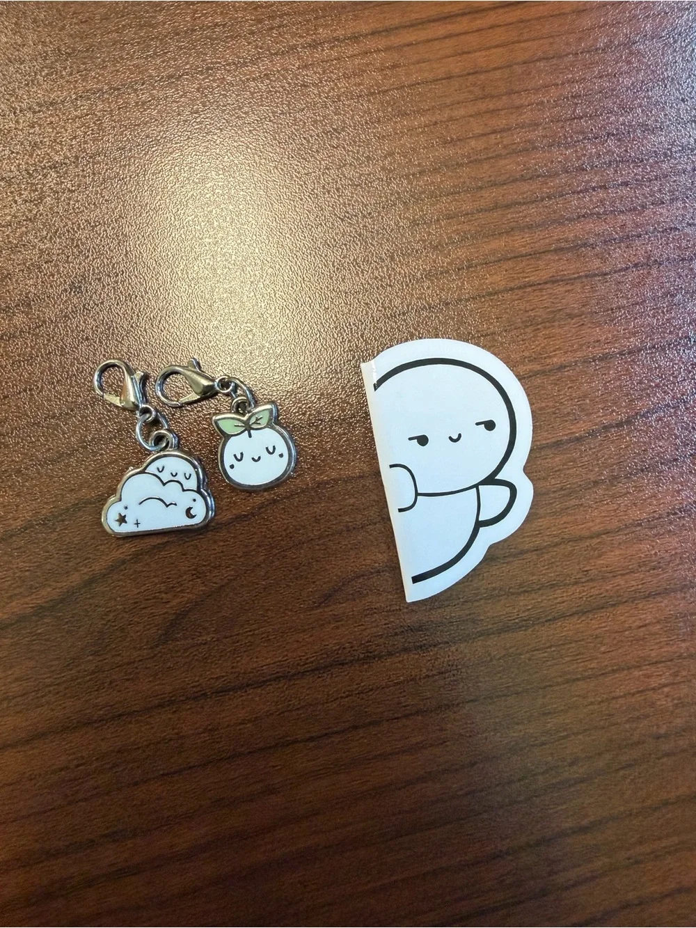 TCMC Charms and Magnetic bookmark